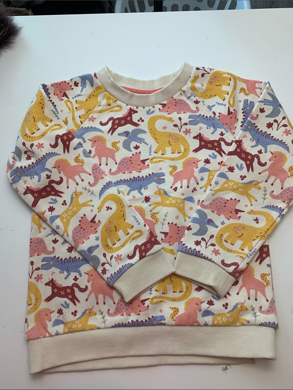 Kids Crewneck Sweatshirt with Colorful Dinosaur Print - Multicolor Winter Weight - Picture 1 of 5